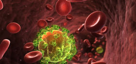 Scientists develop new, all-in-one treatment designed to kill HIV