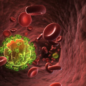 Scientists develop new, all-in-one treatment designed to kill HIV