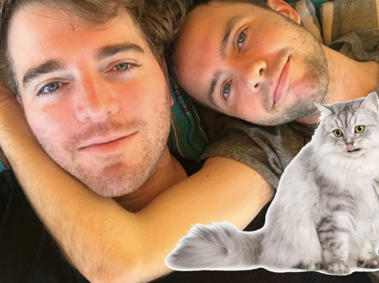 YouTuber Shane Dawson denies he had sex with cat, announces engagement to human man