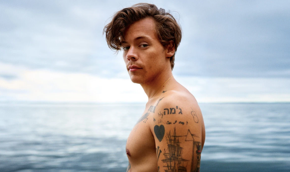 Harry Styles wears leather harness, won’t shut up about gay sex