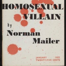 That time literary lion Norman Mailer admitted his homophobia