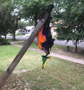 Arsonist sets pride flag on fire outside home of sleeping family