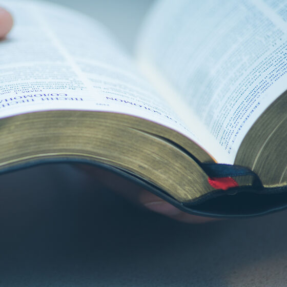 Dear Religious Right: Stop using The Bible as a weapon of homophobia