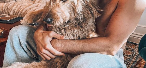 We love our furry friends something terrible. Here’s our guide to humane adoption.