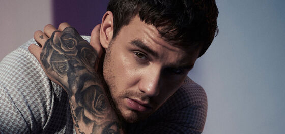 People are pissed at Liam Payne for fetishizing bisexuality in his new song