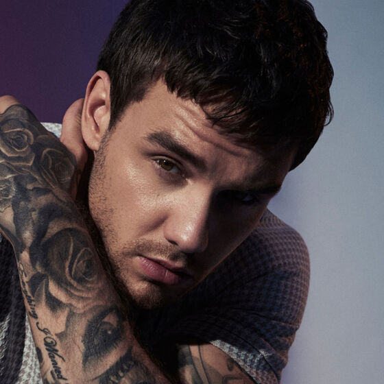 Guys like Liam Payne need to stop writing songs about bisexual people