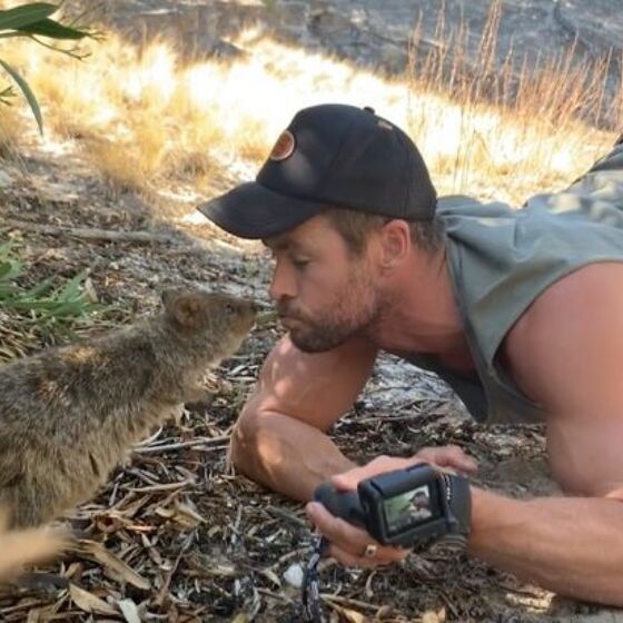 Chris Hemsworth has absolutely no idea what a thirst trap is. How is that possible?
