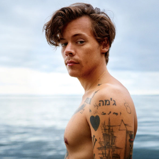 First-look pics from Harry Styles’ gay romance ‘My Policeman’ are here and get ready for some skin