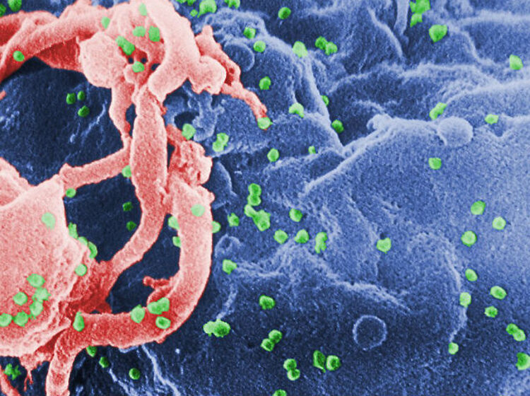 Scientists can’t find any trace of HIV in man potentially “cured” via medication alone