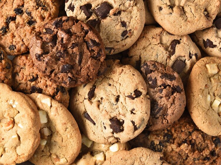 Cookie metaphor perfectly shuts down religious objections to same-sex marriage