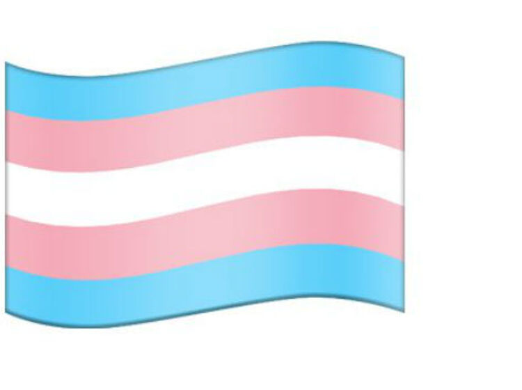 There’s finally an official trans flag emoji