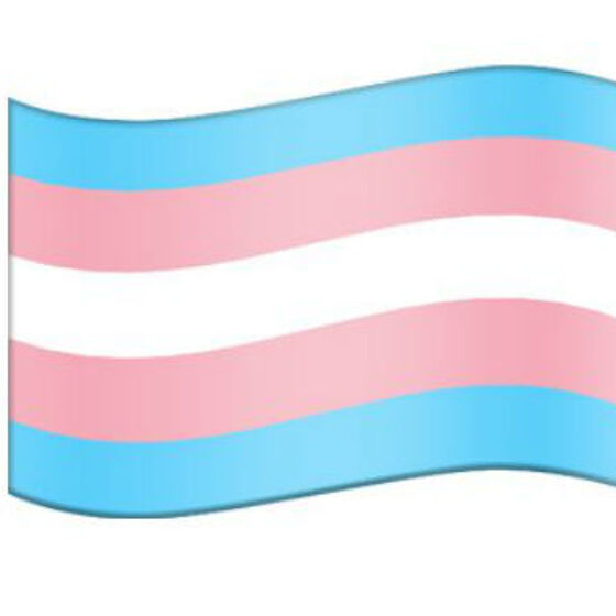 There’s finally an official trans flag emoji