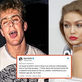 Gigi Hadid takes down insufferable YouTuber with one brutal tweet, wins internet