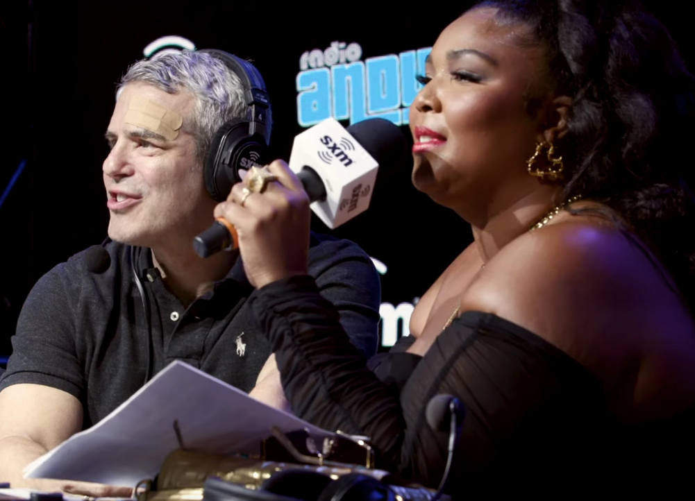 Lizzo opens up about fluidity, says “Wherever you stick or lick, that’s your pick”