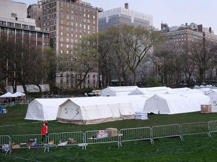Group that set up mobile hospital in Central Park wants volunteers to oppose gay marriage