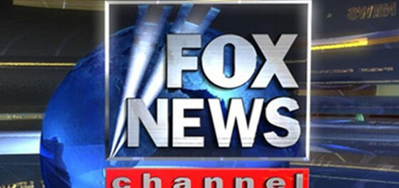 Another high profile anchor just got fired from Fox News