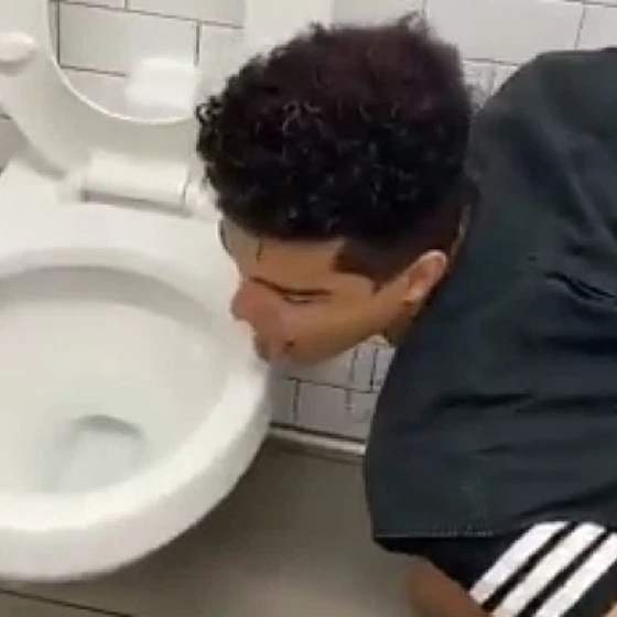 Influencer named “GayShawnMendes” tests positive for coronavirus after licking public toilet seat