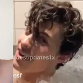 Shawn Mendes and Troye Sivan have very different takes on choking guys for pleasure