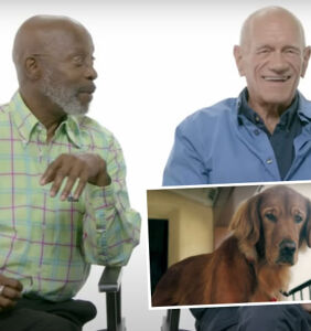 WATCH: Older gay men remembering their beloved past pets is beautiful