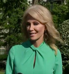 Recently refreshed Kellyanne Conway tells Asian American reporter that saying “kung flu” isn’t racist