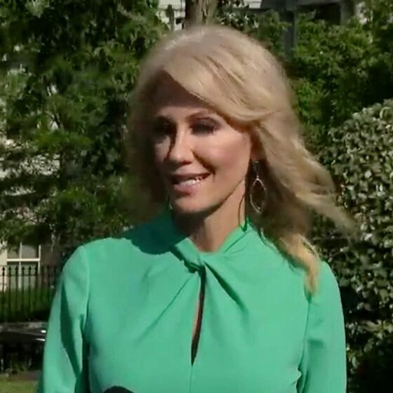 Recently refreshed Kellyanne Conway tells Asian American reporter that saying “kung flu” isn’t racist