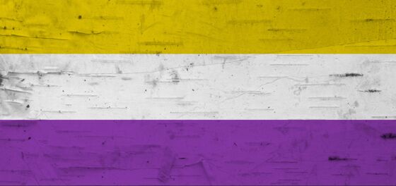 A pride guide to lesser-known LGBTQ+ pride flags