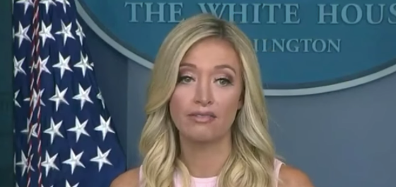 Kayleigh McEnany says she’s “proud” of Trump’s “great record when it comes to the LGBT community”