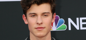 PHOTOS: Masked Shawn Mendes flashes skin outside secret project