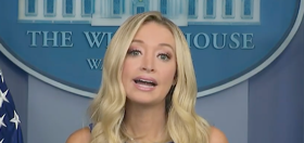 Kayleigh McEnany says Trump wasn’t telling voters to break the law when he told them to break the law