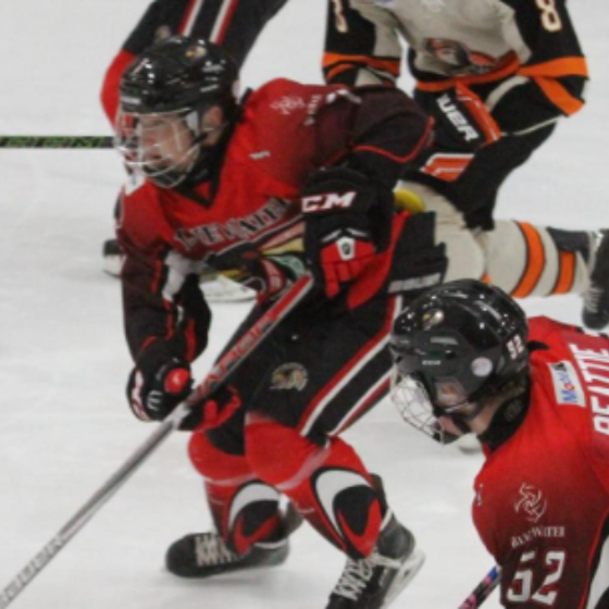 Elite teen hockey player comes out as gay, and the crowd goes wild