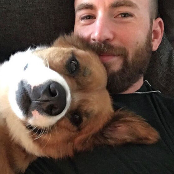PHOTOS: Chris Evans really wants you to see the tat he dedicated to his dog