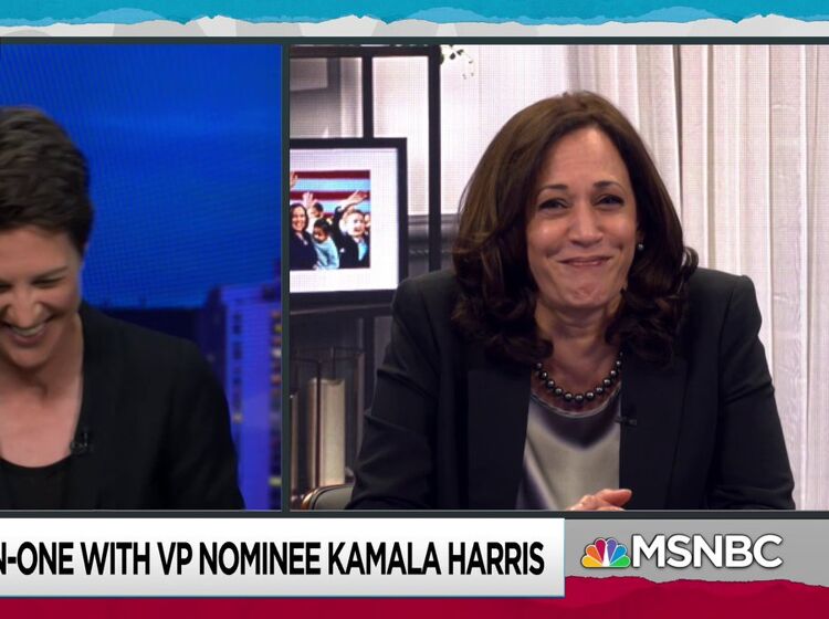 Kamala Harris finally breaks her silence on the fly that landed on Mike Pence's head
