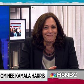 Kamala Harris finally breaks her silence on the fly that landed on Mike Pence’s head
