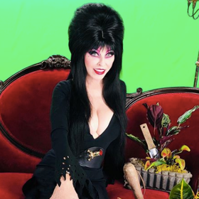 Elvira teams up with the gays for free Halloween virtual screenings