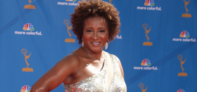 Wanda Sykes came out after anti-equality voters “pissed her off”