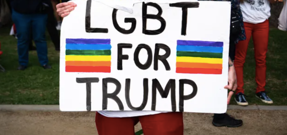 Donald Trump has lost the election and #GaysForTrump are not taking it well