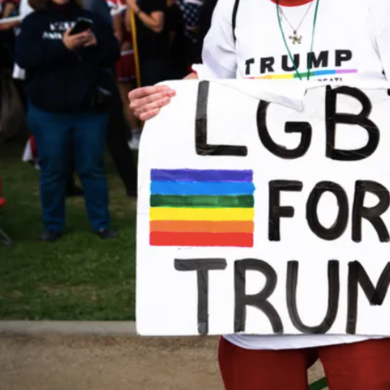Donald Trump has lost the election and #GaysForTrump are not taking it well