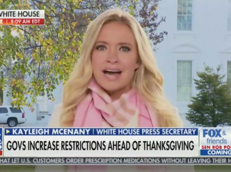 Kayleigh McEnany freaks out over Thanksgiving restrictions, calls denying people turkey “Orwellian”