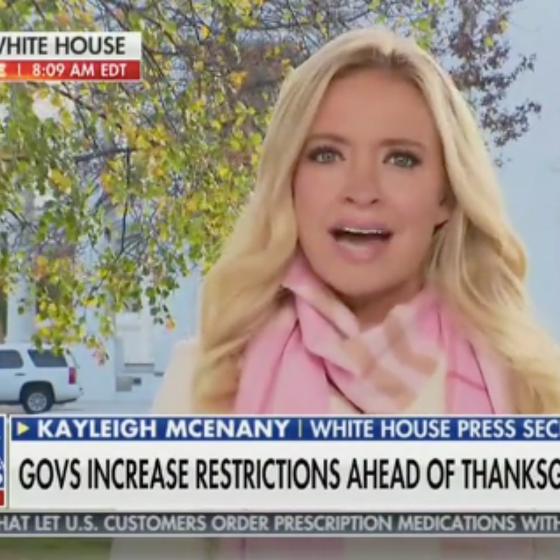 Kayleigh McEnany freaks out over Thanksgiving restrictions, calls denying people turkey “Orwellian”