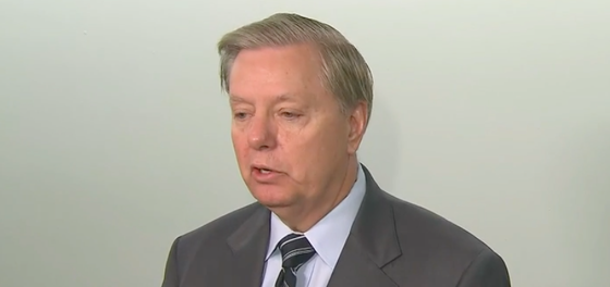 The bad news just got worse for Lindsey Graham