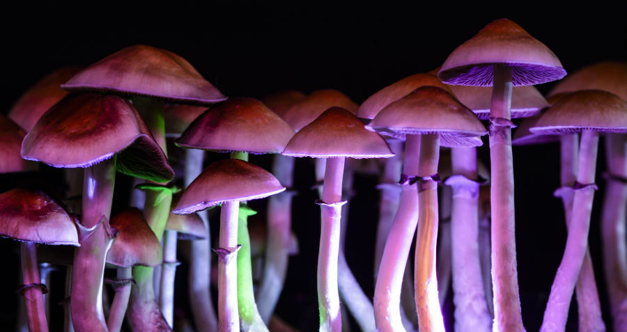 Oregon votes to decriminalize all drugs, including meth, cocaine and magic mushrooms