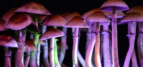 Oregon votes to decriminalize all drugs, including meth, cocaine and magic mushrooms