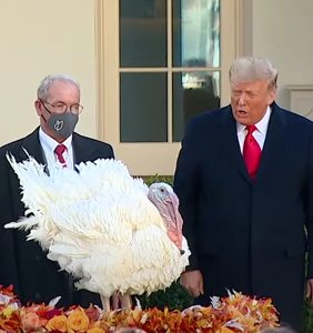 WATCH: The moment after Trump pardoned turkey, reporter asks if he’ll pardon himself