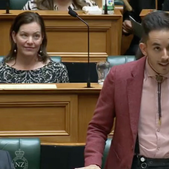 WATCH: Lawmaker tells parliament “be gay, do crime” in amazing first speech