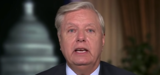 Lindsey Graham suggests Nancy Pelosi secretly plotted for MAGA mob to assassinate her