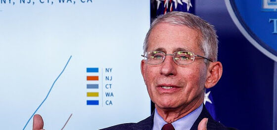 Dr. Anthony Fauci talks gay bathhouses with Terry Gross