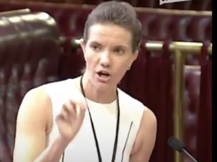 WATCH: Politician reads colleagues for filth in speech about ‘Drag Race’
