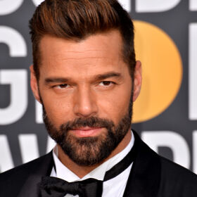 Ricky Martin steps in to give proposed Pulse memorial a major boost