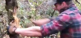 Bizarre video of Madison Cawthorn assaulting a tree circulates amid sexual misconduct allegations