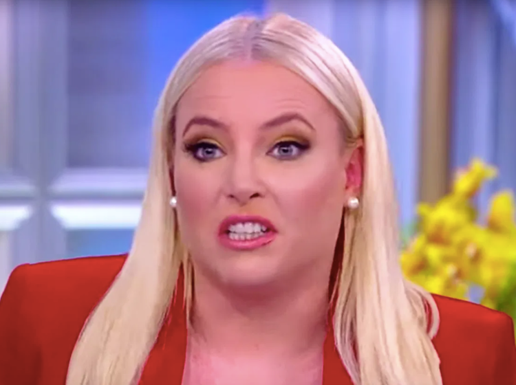 Meghan McCain was up late last night tweeting about masturbation and nobody liked it